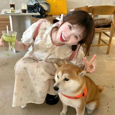 小黄历险记