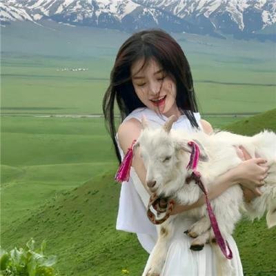 叔比狗:大闹幽灵海盗船